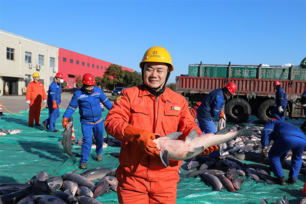 鱼1