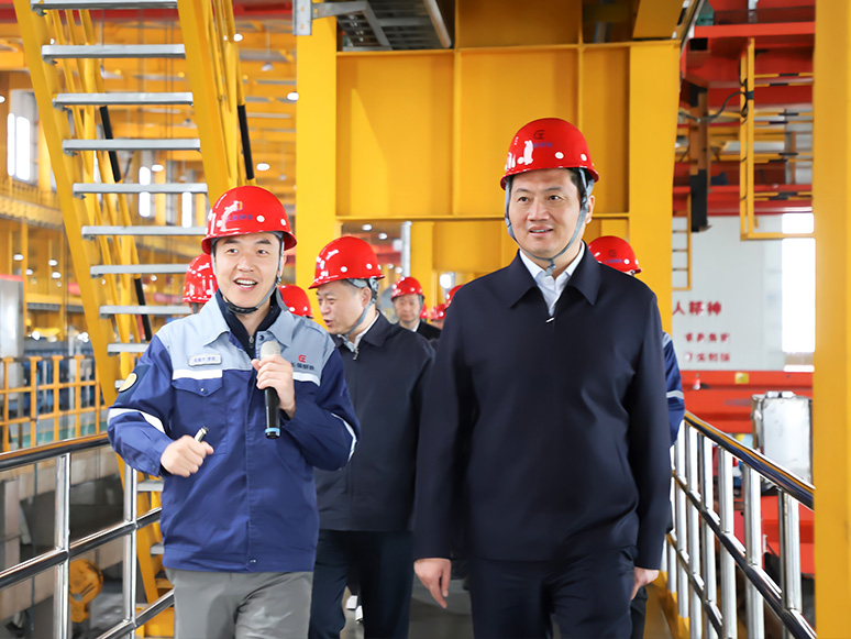 泰州市委书记史立军一行来公司调研